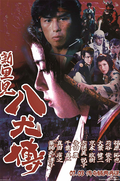 新．里見八犬傳