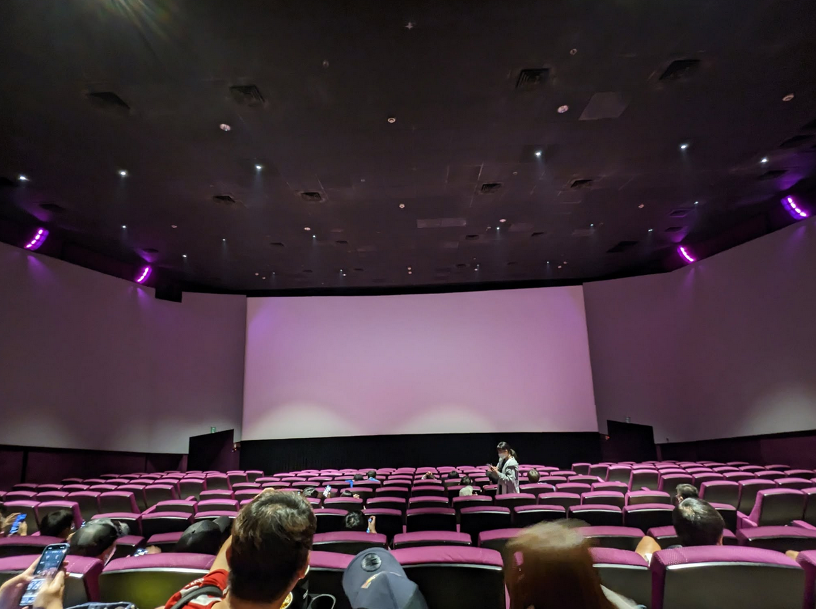 screen-x